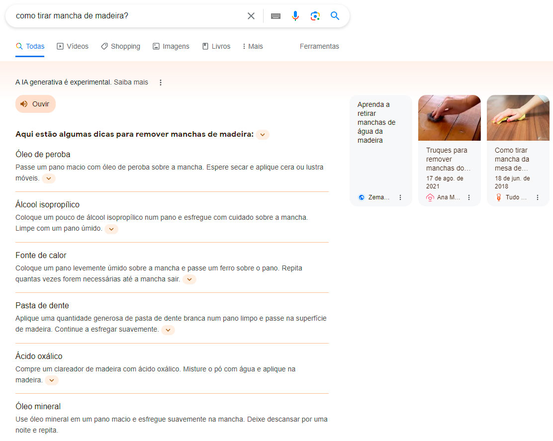 Print do Google SGE